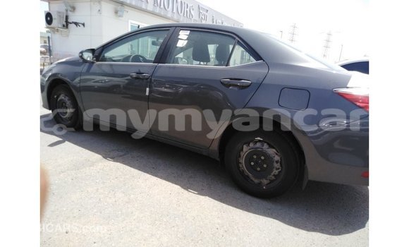 Buy Import Toyota Corolla Other Car in Import - Dubai in Ayeyarwady Buy Import Toyota Corolla Other Car in Import - Dubai in Ayeyarwady