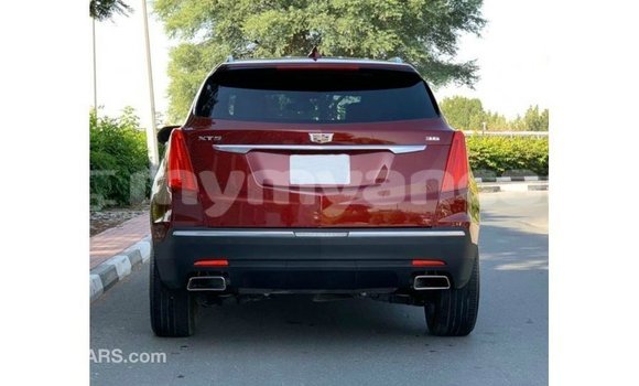 Buy Import Cadillac XT5 Red Car in Import - Dubai in Ayeyarwady Buy Import Cadillac XT5 Red Car in Import - Dubai in Ayeyarwady