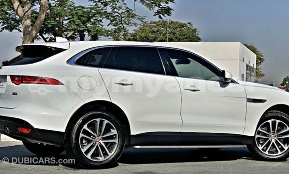 Buy Import Jaguar F-Pace White Car in Import - Dubai in Ayeyarwady Buy Import Jaguar F-Pace White Car in Import - Dubai in Ayeyarwady