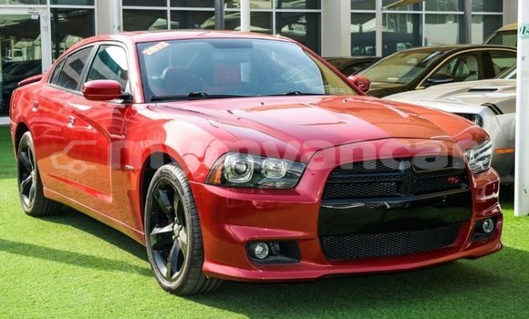Buy Import Dodge Charger Red Car in Import - Dubai in Ayeyarwady