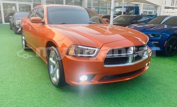 Acheter Import Voiture Dodge Charger Autre à Import - Dubai, #<Region:0x000000000c5121b8>