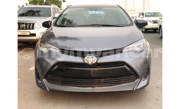 သွင်းကုန် Toyota Corolla Other ကား Import - Dubai Ayeyarwady သွင်းကုန် Toyota Corolla Other ကား Import - Dubai Ayeyarwady