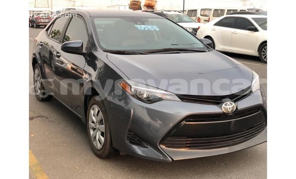 သွင်းကုန် Toyota Corolla Other ကား Import - Dubai Ayeyarwady သွင်းကုန် Toyota Corolla Other ကား Import - Dubai Ayeyarwady