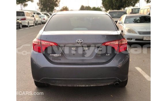 သွင်းကုန် Toyota Corolla Other ကား Import - Dubai Ayeyarwady သွင်းကုန် Toyota Corolla Other ကား Import - Dubai Ayeyarwady