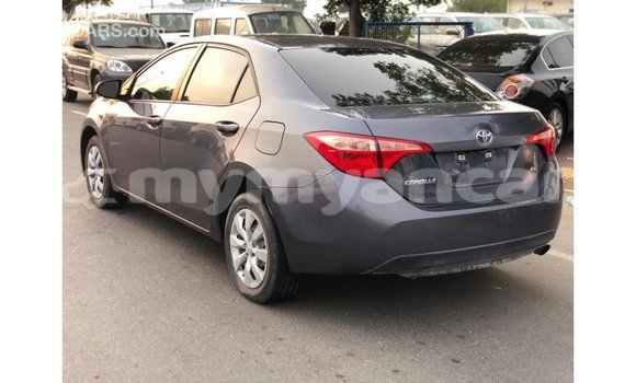 သွင်းကုန် Toyota Corolla Other ကား Import - Dubai Ayeyarwady သွင်းကုန် Toyota Corolla Other ကား Import - Dubai Ayeyarwady