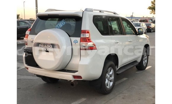သွင်းကုန် Toyota Prado White ကား Import - Dubai Ayeyarwady သွင်းကုန် Toyota Prado White ကား Import - Dubai Ayeyarwady