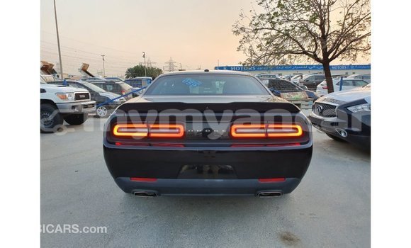 သွင်းကုန် Dodge Challenger Black ကား Import - Dubai Ayeyarwady သွင်းကုန် Dodge Challenger Black ကား Import - Dubai Ayeyarwady