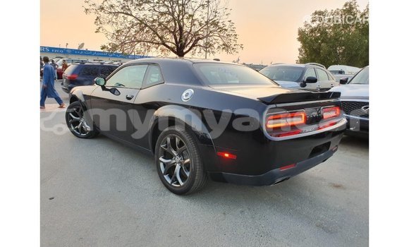 သွင်းကုန် Dodge Challenger Black ကား Import - Dubai Ayeyarwady သွင်းကုန် Dodge Challenger Black ကား Import - Dubai Ayeyarwady