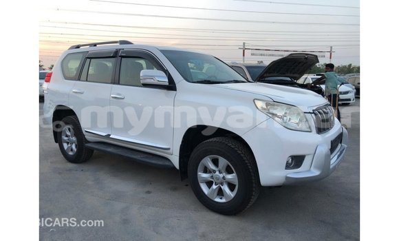 သွင်းကုန် Toyota Prado White ကား Import - Dubai Ayeyarwady သွင်းကုန် Toyota Prado White ကား Import - Dubai Ayeyarwady