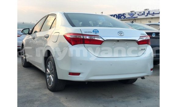သွင်းကုန် Toyota Corolla White ကား Import - Dubai Ayeyarwady သွင်းကုန် Toyota Corolla White ကား Import - Dubai Ayeyarwady