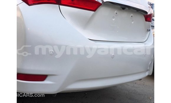 သွင်းကုန် Toyota Corolla White ကား Import - Dubai Ayeyarwady သွင်းကုန် Toyota Corolla White ကား Import - Dubai Ayeyarwady