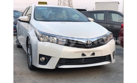 သွင်းကုန် Toyota Corolla White ကား Import - Dubai Ayeyarwady သွင်းကုန် Toyota Corolla White ကား Import - Dubai Ayeyarwady