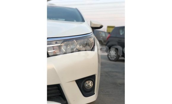 သွင်းကုန် Toyota Corolla White ကား Import - Dubai Ayeyarwady သွင်းကုန် Toyota Corolla White ကား Import - Dubai Ayeyarwady