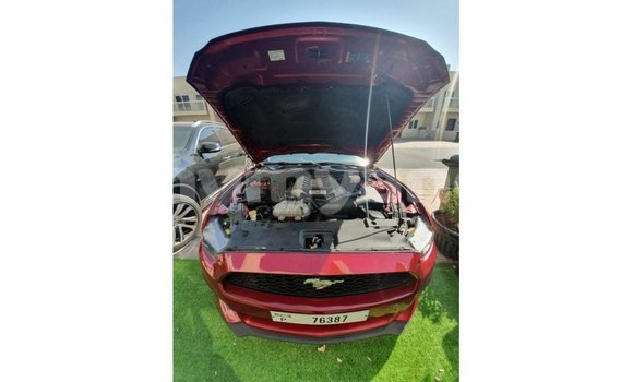 သွင်းကုန် Ford Mustang Red ကား Import - Dubai Ayeyarwady သွင်းကုန် Ford Mustang Red ကား Import - Dubai Ayeyarwady