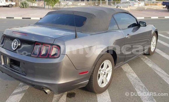 Buy Import Ford Mustang Other Car in Import - Dubai in Ayeyarwady Buy Import Ford Mustang Other Car in Import - Dubai in Ayeyarwady