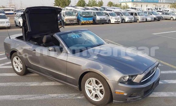 Buy Import Ford Mustang Other Car in Import - Dubai in Ayeyarwady Buy Import Ford Mustang Other Car in Import - Dubai in Ayeyarwady