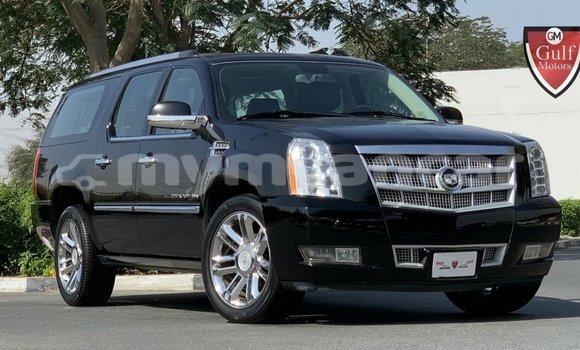 Acheter Import Voiture Cadillac Escalade Noir à Import - Dubai, #<Region:0x000000000c5121b8>