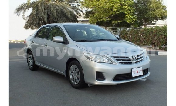 Buy Import Toyota Corolla Other Car in Import - Dubai in Ayeyarwady