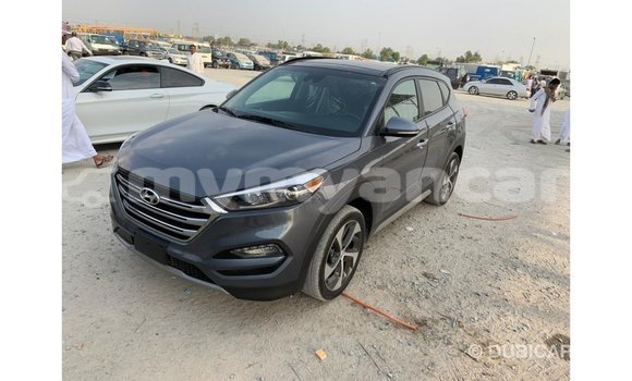 Buy Import Hyundai Tucson Other Car in Import - Dubai in Ayeyarwady Buy Import Hyundai Tucson Other Car in Import - Dubai in Ayeyarwady