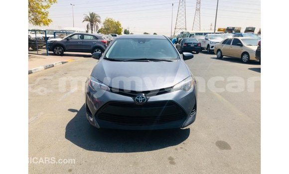 သွင်းကုန် Toyota Corolla Other ကား Import - Dubai Ayeyarwady သွင်းကုန် Toyota Corolla Other ကား Import - Dubai Ayeyarwady