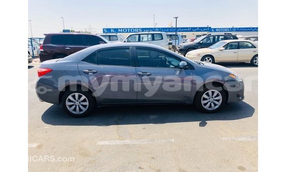သွင်းကုန် Toyota Corolla Other ကား Import - Dubai Ayeyarwady သွင်းကုန် Toyota Corolla Other ကား Import - Dubai Ayeyarwady