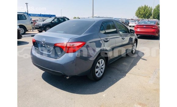 သွင်းကုန် Toyota Corolla Other ကား Import - Dubai Ayeyarwady သွင်းကုန် Toyota Corolla Other ကား Import - Dubai Ayeyarwady