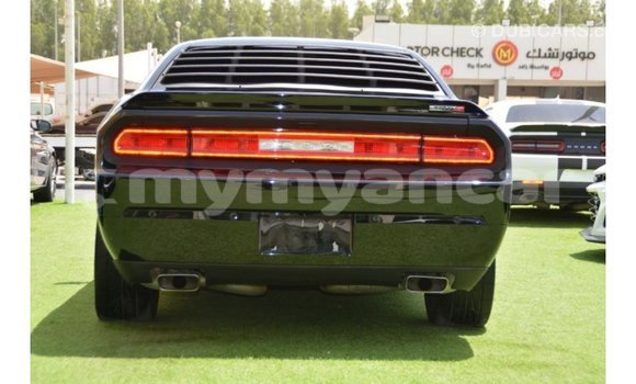 Buy Import Dodge Challenger Black Car in Import - Dubai in Ayeyarwady Buy Import Dodge Challenger Black Car in Import - Dubai in Ayeyarwady