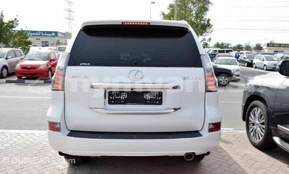 သွင်းကုန် Lexus GX White ကား Import - Dubai Ayeyarwady သွင်းကုန် Lexus GX White ကား Import - Dubai Ayeyarwady