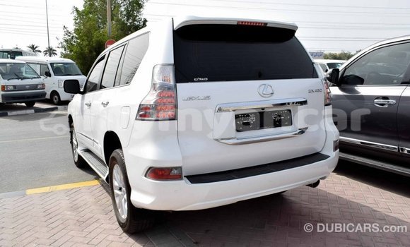 သွင်းကုန် Lexus GX White ကား Import - Dubai Ayeyarwady သွင်းကုန် Lexus GX White ကား Import - Dubai Ayeyarwady