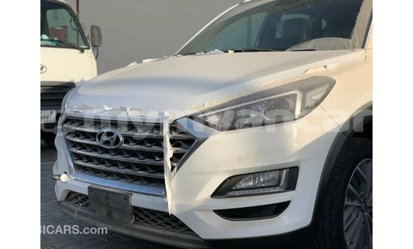 Buy Import Hyundai Tucson White Car in Import - Dubai in Ayeyarwady Buy Import Hyundai Tucson White Car in Import - Dubai in Ayeyarwady