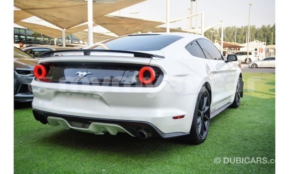 Buy Import Ford Mustang White Car in Import - Dubai in Ayeyarwady Buy Import Ford Mustang White Car in Import - Dubai in Ayeyarwady