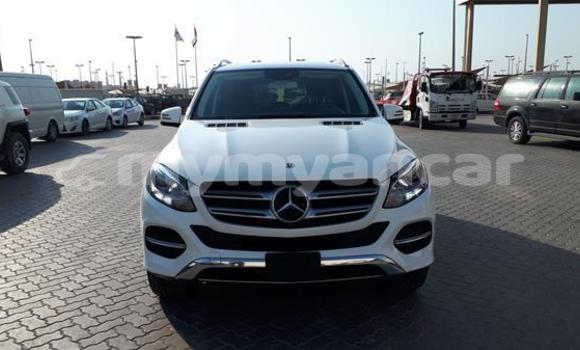 အသုံးပြုခံ့ Mercedes-Benz GLE White ကား Chauk Magway အသုံးပြုခံ့ Mercedes-Benz GLE White ကား Chauk Magway