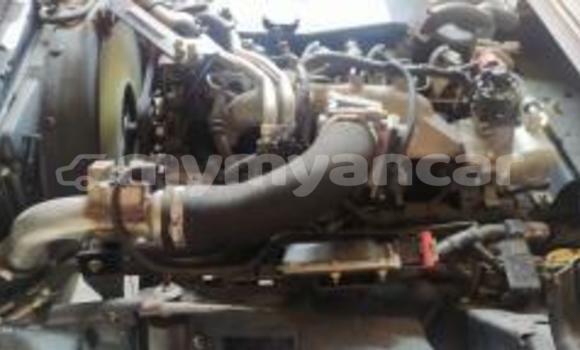 Buy Used Isuzu FTR 850 White Truck in Dawei in Tanintharyi Buy Used Isuzu FTR 850 White Truck in Dawei in Tanintharyi