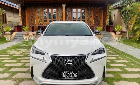 Buy Used Lexus NX Other Car in Myanaung in Ayeyarwady