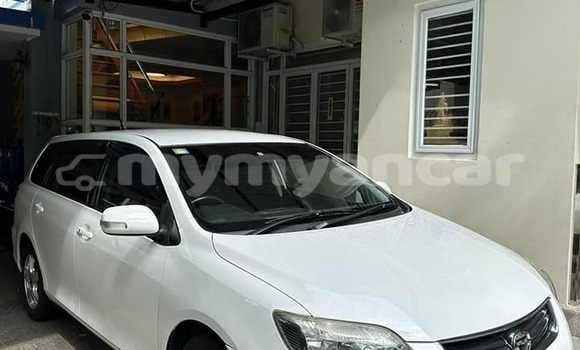 Buy Used Toyota FJ Cruiser Other Car in Myanaung in Ayeyarwady