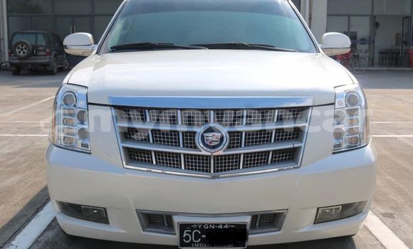 Acheter Occasion Voiture Cadillac ATS-V Blanc à Banmo, #<Region:0x000000000b1c4b88>