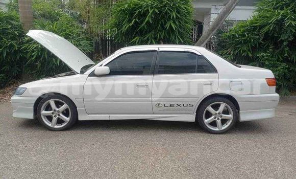 အသုံးပြုခံ့ Toyota Corolla White ကား Banmo Kachin အသုံးပြုခံ့ Toyota Corolla White ကား Banmo Kachin