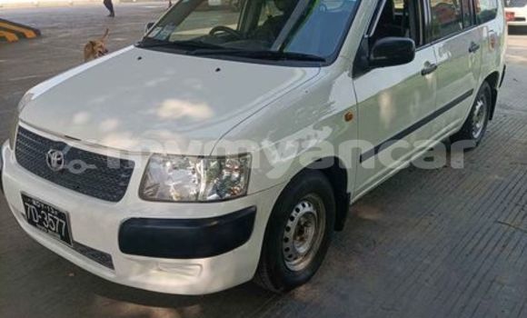 အသုံးပြုခံ့ Toyota Succeed Other ကား Myanaung Ayeyarwady