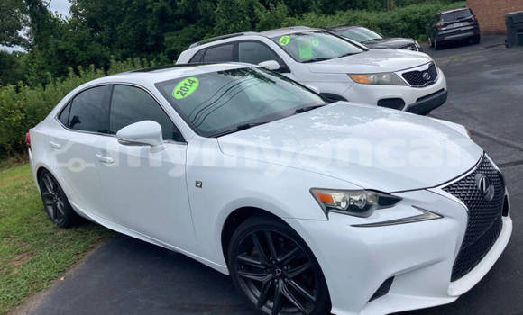 Acheter Occasion Voiture Lexus IS Blanc à Nyaunglebin, #<Region:0x000000000af4fc68> Acheter Occasion Voiture Lexus IS Blanc à Nyaunglebin, #<Region:0x000000000af4fc68>
