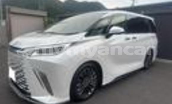 Acheter Occasion Voiture Lexus LC Blanc à Nyaunglebin, #<Region:0x000000000af4fc68> Acheter Occasion Voiture Lexus LC Blanc à Nyaunglebin, #<Region:0x000000000af4fc68>