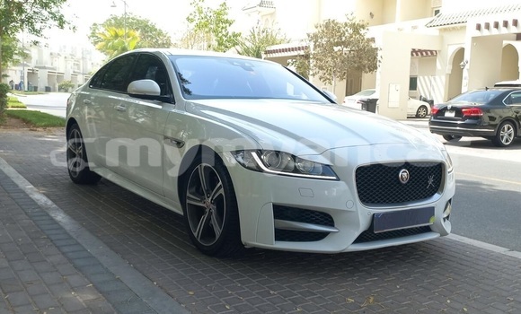 Acheter Occasion Voiture Jaguar XF Blanc à Nyaunglebin, #<Region:0x000000000af4fc68>
