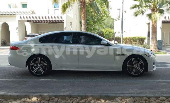 Acheter Occasion Voiture Jaguar XF Blanc à Nyaunglebin, #<Region:0x000000000af4fc68> Acheter Occasion Voiture Jaguar XF Blanc à Nyaunglebin, #<Region:0x000000000af4fc68>