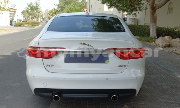 Acheter Occasion Voiture Jaguar XF Blanc à Nyaunglebin, #<Region:0x000000000af4fc68> Acheter Occasion Voiture Jaguar XF Blanc à Nyaunglebin, #<Region:0x000000000af4fc68>