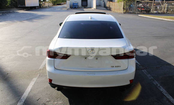 အသုံးပြုခံ့ Lexus IS White ကား Nyaunglebin Bago အသုံးပြုခံ့ Lexus IS White ကား Nyaunglebin Bago