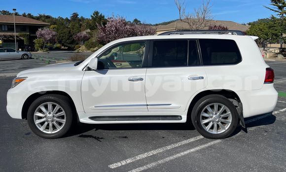 Acheter Occasion Voiture Lexus LX 570 Blanc à Falam, #<Region:0x000000000bb576f0>