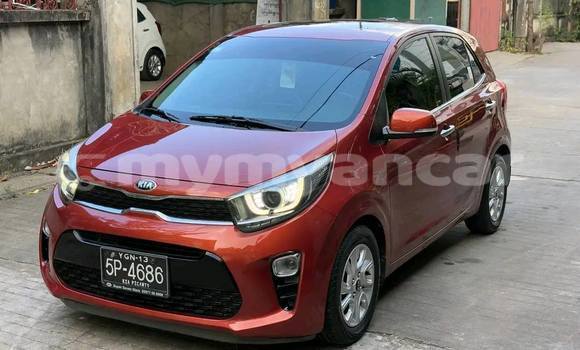 Acheter Occasion Voiture Kia Picanto Autre à Falam, #<Region:0x000000000bb576f0> Acheter Occasion Voiture Kia Picanto Autre à Falam, #<Region:0x000000000bb576f0>