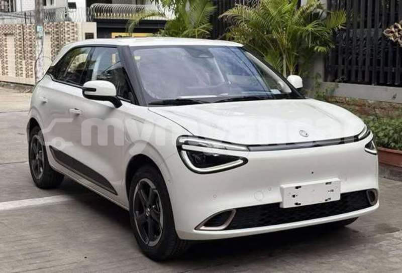 Big with watermark dongfeng mpv rakhine arakan 4784