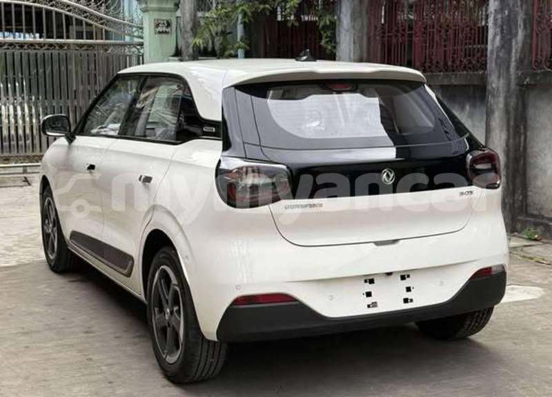 Big with watermark dongfeng mpv rakhine arakan 4784