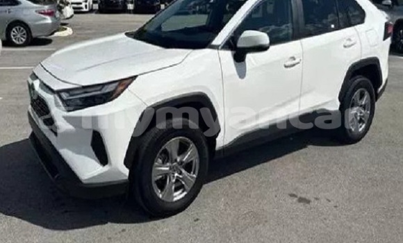 Buy Used Toyota RAV4 White Car in Kyaikkami in Mon