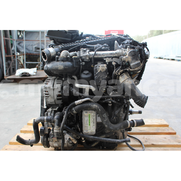 Big with watermark s l16003